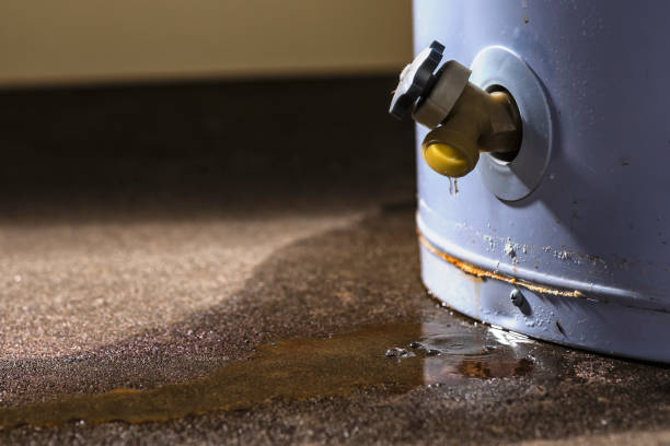 Best Flooded house restoration  in Maple Plain, MN