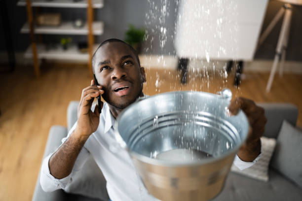 Best Professional water damage repair  in Maple Plain, MN