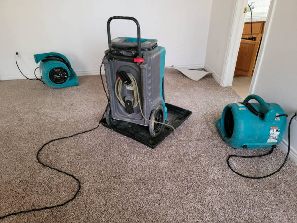 Best Water damage cleanup near me  in Maple Plain, MN