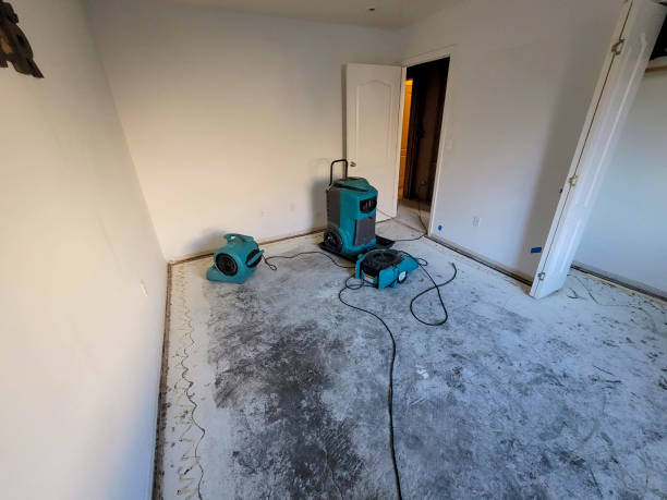 Best Commercial water damage restoration  in Maple Plain, MN