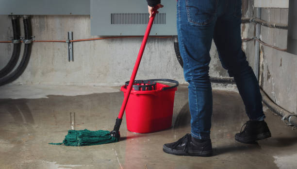 Best 24-hour water damage restoration  in Maple Plain, MN