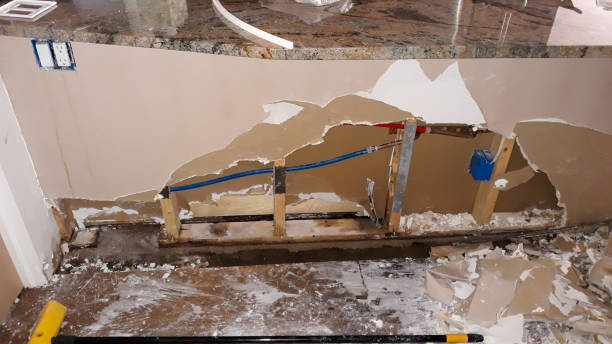 Best Ceiling water damage repair  in Maple Plain, MN