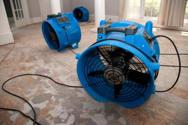 Best Water damage contractors near me  in Maple Plain, MN