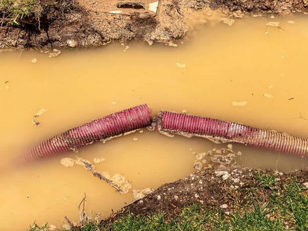 Best Residential water damage restoration  in Maple Plain, MN